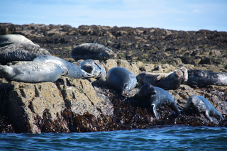  [Seals] 