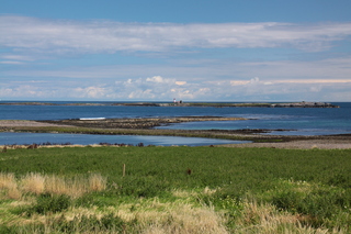  [Farne Islands] 