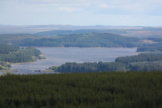  [View] 