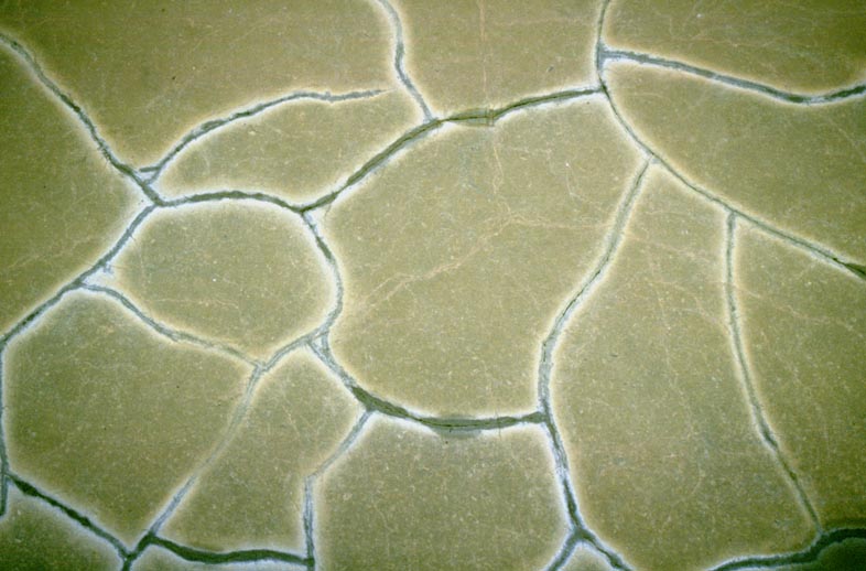  [Rock pattern] 