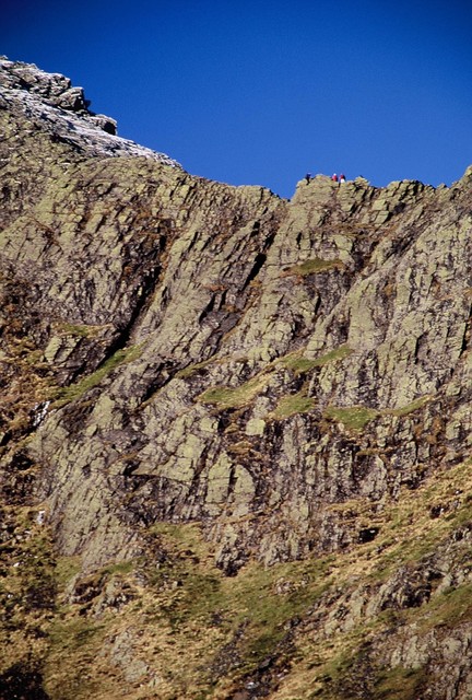  [Sharp Edge] 