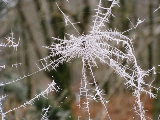  [Web] 