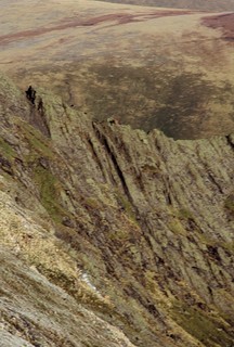  [Sharp Edge] 