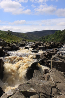  [High Force] 