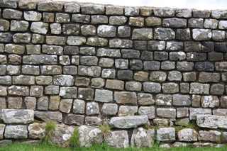  [Wall] 