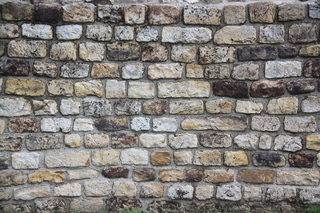  [Wall] 