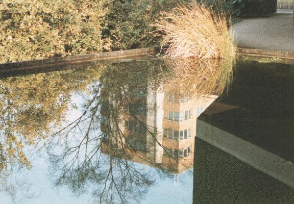  [AMS reflection] 