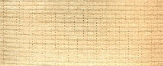  [ISMA wall, Whiteknights] 