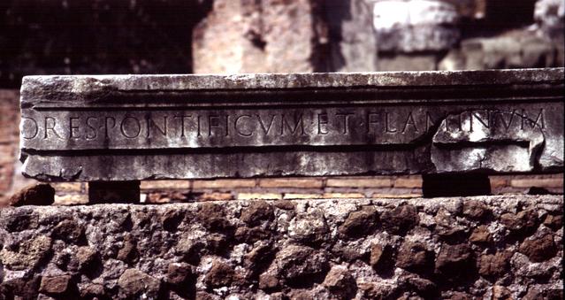  [Carving] 