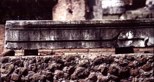  [Carving] 