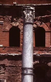  [Column] 