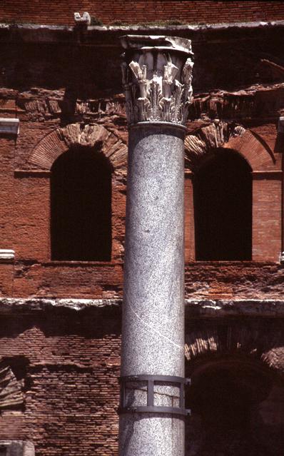  [Column] 