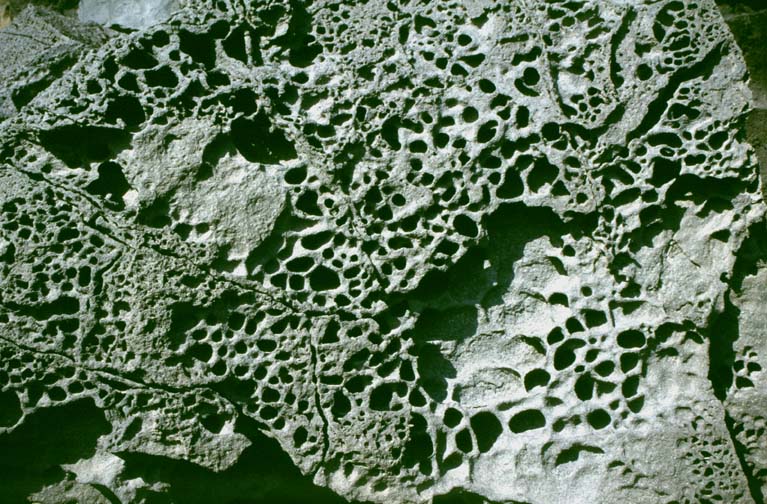  [Pumice] 
