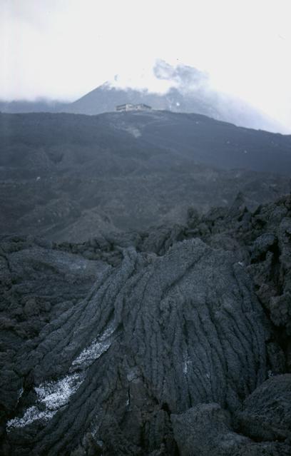  [Summit] 
