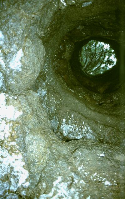  [Grotto della Falene] 