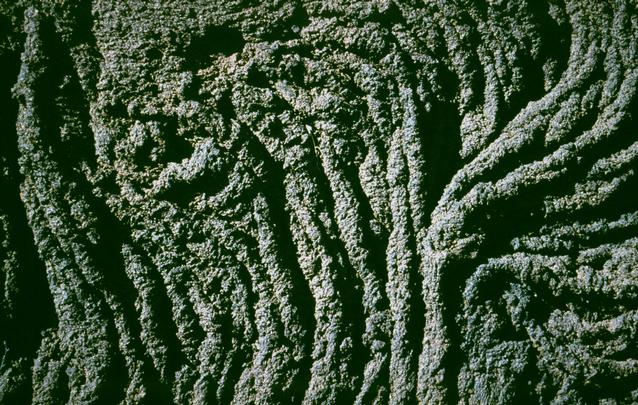  [Pahoehoe lava] 