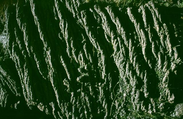  [Pahoehoe lava] 