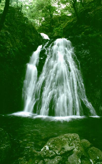  [Nant Cadair] 