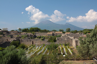  [View, Orto dei Fuggiaschi] 
